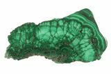 Polished Malachite Slab - DR Congo #264830-1